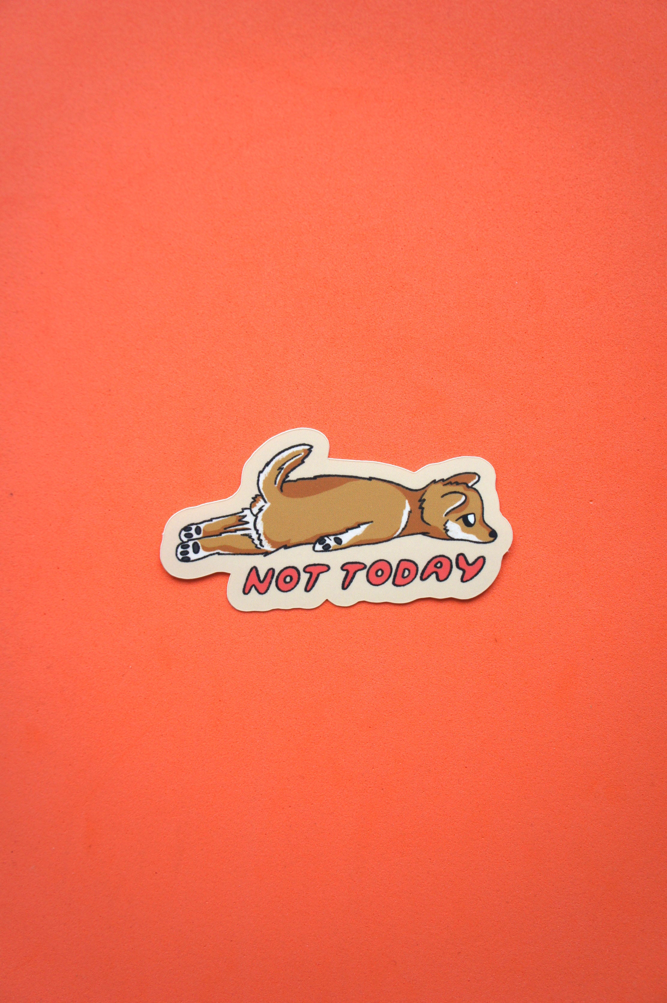 Not today shiba inu adesivo singolo